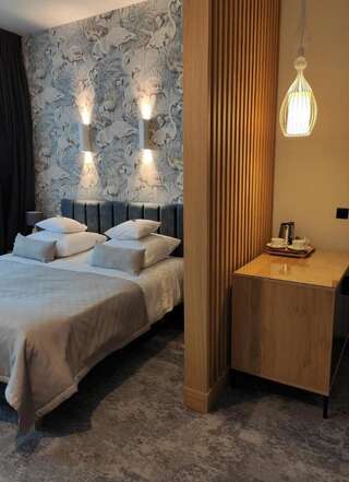 Отель Hotel Szara Willa Ополе Двухместный номер Делюкс с 1 кроватью или 2 отдельными кроватями-14