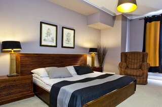 Отель Hotel Szara Willa Ополе Двухместный номер Делюкс с 1 кроватью или 2 отдельными кроватями-65